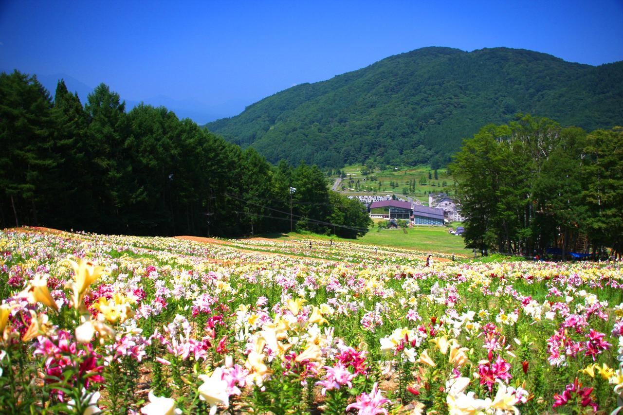 Hotel Harvest Madarao Shinano  Buitenkant foto